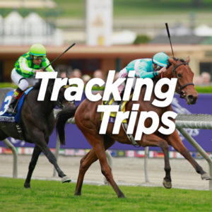 Tracking Trips