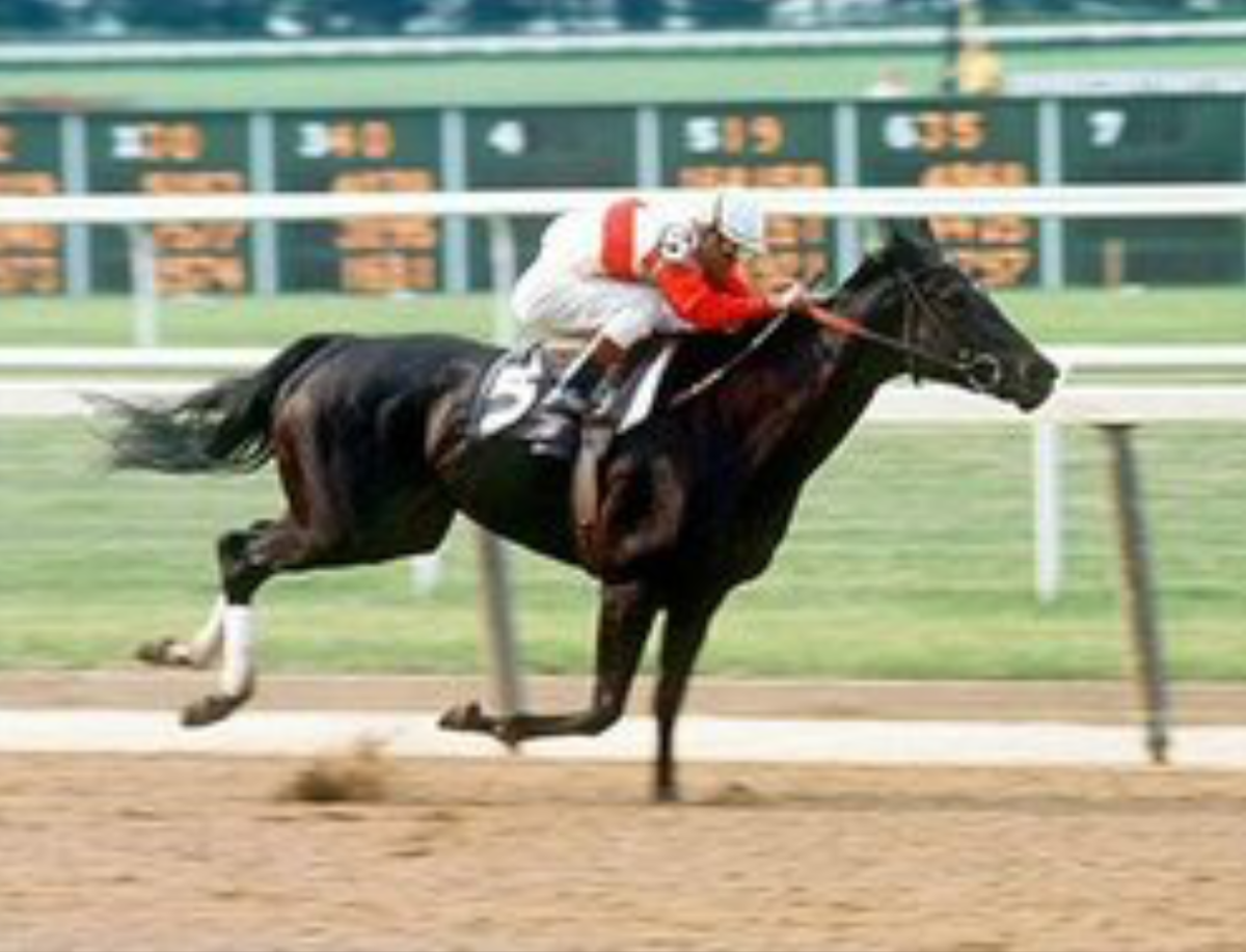 “All 1’s” Ruffian, The Real Story Past The Wire