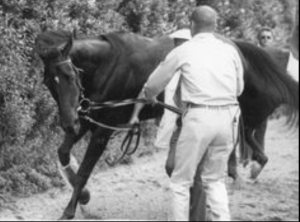 Frank CaLvarese with Ruffian