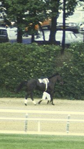 Jacinto Vasquez with Ruffian