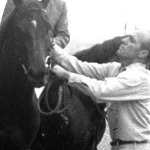 Frank Calvarese assisting Ruffian