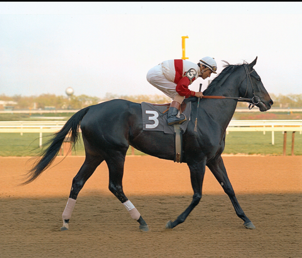 “All 1’s” Ruffian, The Real Story Past The Wire