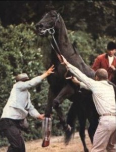 Dr Gillman and Frank Calvarese working on Ruffian with outrider Jim Daly in background