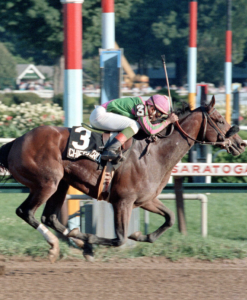 Angel wins the 1985 Travers aboard Chief's Crown