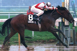 Woody's last Belmont winner, Danzig Connection