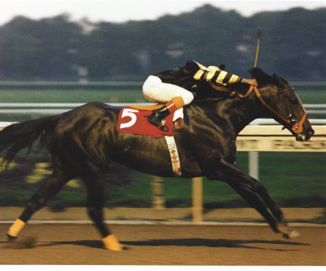 Seattle  Slew  One of the Best Past The Wire